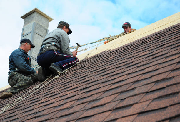 Best Roof Replacement Cost  in Roessleville, NY